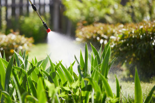 24/7 Emergency Wasp Removal experts in Howard City, MI