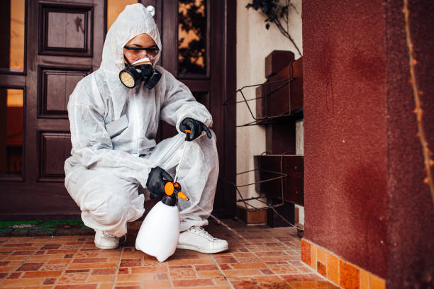 Reliable Wasp Removal contractor in Howard City, MI by Show Me Pest Control
