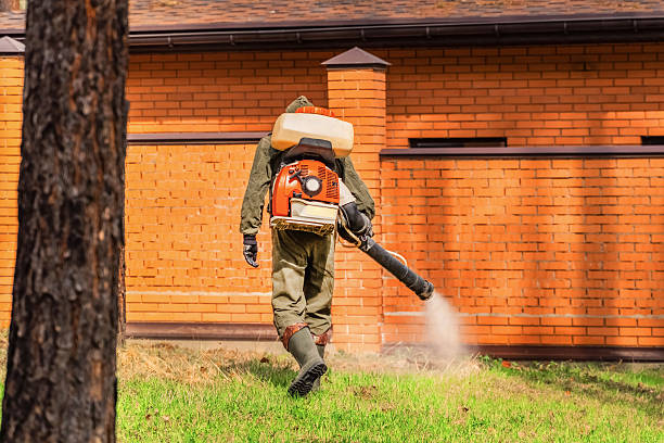 Top rated local Wasp Removal specialists in Howard City, MI